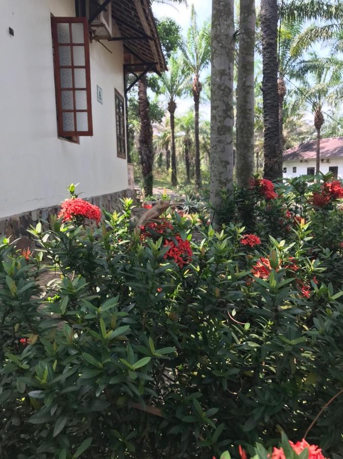 Hotel Palm Garden House Quang Tri Exterior foto