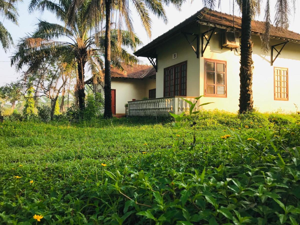 Hotel Palm Garden House Quang Tri Exterior foto